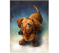 Wingkin Stamped Cross Stitch Kits for Adults Brown Dachshund 11CT Full Range of Embroidery Starter Kit for Beginners DIY Pre-Printed Patterns Starter Kit（16×20 Inch）