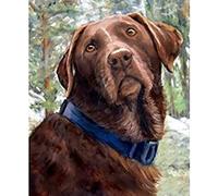 Wingkin Stamped Cross Stitch Kits for Adults Chocolate Labrador Retriever 11CT Full Range of Embroidery Starter Kit for Beginners DIY Pre-Printed Patterns Starter Kit（16×20 Inch）