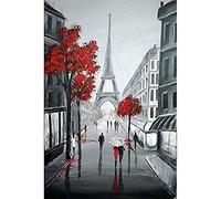 Wingkin Stamped Cross Stitch Kits for Adults Rain Paris Red Maple 11CT Full Range of Embroidery Starter Kit for Beginners DIY Pre-Printed Patterns Starter Kit（16×20 Inch）