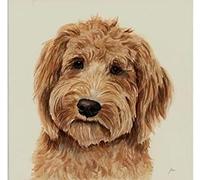 Wingkin Stamped Cross Stitch Kits Golden Doodle Dog 11CT Advanced Pre-Printed Cross-Stitch Pattern Embroidery DIY Beginner Adults Kids Home Decoration (40x50cm)