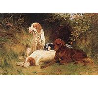 Wingkin Stamped Cross Stitch Kits Irish Setter Dog 11CT Advanced Pre-Printed Cross-Stitch Pattern Embroidery DIY Beginner Adults Kids Home Decoration （40x50cm）