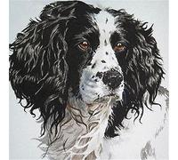Wingkin Stamped Cross Stitch Kits Springer Spaniel 11CT Advanced Pre-Printed Cross-Stitch Pattern Embroidery DIY Beginner Adults Kids Home Decoration (40x50cm)