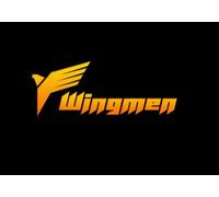 WingMen (PC) Steam Key - GLOBAL