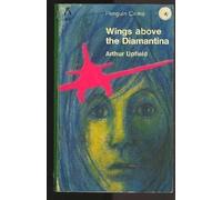 Wings above the Diamantina