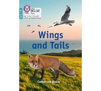 Wings and Tails: Phase 3 Set 1 Blending practice (Big Cat Phonics for Little Wandle Letters and Sounds Revised - Age 7+)