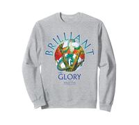 Wings of Fire Brilliant Like Glory Sweatshirt