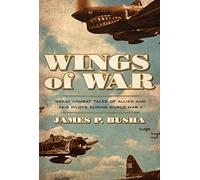 Wings of War: Great Combat Tales of Allied and Axis Pilots During World War II
