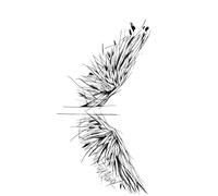 Wings Tattoo Sticker Feather Tattoos Fake Tattoo For Woman Man Chest Art Temporary Tattoos(001)
