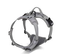 WINHYEPET True Love Dog Harness, No-Pull Reflective Pet Harness with 2 Leash Clips Adjustable Soft Padded Dog Vest with Easy Control Handle for Small Medium Large Dog TLH5651(Gray,S)