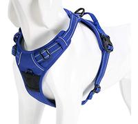 WINHYEPET True Love Dog Harness, No-Pull Reflective Pet Harness with 2 Leash Clips Adjustable Soft Padded Dog Vest with Easy Control Handle for Small Medium Large Dog TLH5651(Royal Blue,XS)