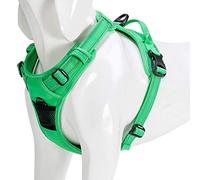 WINHYEPET True Love Dog Harness, No-Pull Reflective Pet Harness with 2 Leash Clips Adjustable Soft Padded Dog Vest with Easy Control Handle for Small Medium Large Dog TLH5651(Grass Green,S)