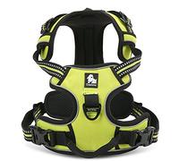 WINHYEPET True Love Dog Harness, No-Pull Reflective Pet Harness with 2 Leash Clips Adjustable Soft Padded Dog Vest with Easy Control Handle for Small Medium Large Dog TLH5651(Neon Yellow,XS)
