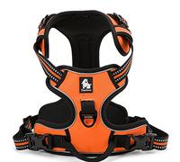 WINHYEPET True Love Dog Harness, No-Pull Reflective Pet Harness with 2 Leash Clips Adjustable Soft Padded Dog Vest with Easy Control Handle for Small Medium Large Dog TLH5651(Orange,XS)