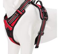 WINHYEPET True Love Dog Harness, No-Pull Reflective Pet Harness with 2 Leash Clips Adjustable Soft Padded Dog Vest with Easy Control Handle for Small Medium Large Dog TLH5651(Red,L)