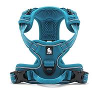 WINHYEPET True Love Dog Harness, No-Pull Reflective Pet Harness with 2 Leash Clips Adjustable Soft Padded Dog Vest with Easy Control Handle for Small Medium Large Dog TLH5651(Blue,M)