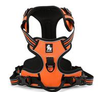 WINHYEPET True Love Dog Harness, No-Pull Reflective Pet Harness with 2 Leash Clips Adjustable Soft Padded Dog Vest with Easy Control Handle for Small Medium Large Dog TLH5651(Orange,M)