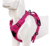 WINHYEPET True Love Dog Harness, No-Pull Reflective Pet Harness with 2 Leash Clips Adjustable Soft Padded Dog Vest with Easy Control Handle for Small Medium Large Dog TLH5651(Fushcia,XS)