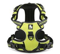 WINHYEPET True Love Dog Harness, No-Pull Reflective Pet Harness with 2 Leash Clips Adjustable Soft Padded Dog Vest with Easy Control Handle for Small Medium Large Dog TLH5651(Neon Yellow,L)