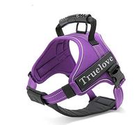 WINHYEPET True Love Dog Harness Reflective Pet Harness Adjustbale for Running Walking Padded Soft Mesh Dogs Vest Easy Control for Small Medium Large Pets TLH5753(Purple,M)