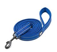 WINHYEPET True Love Dog Leash Nylon Reflective Comfortable Handle Lead Puppy Training Walking Rope Easy Control Suitable Small Medium Large Breeds 110cm Length TLL2111(Royal Blue,M)
