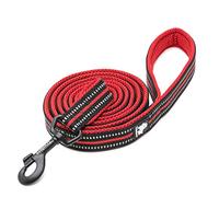 WINHYEPET True Love Dog Leash Nylon Reflective Comfortable Handle Lead Puppy Training Walking Rope Easy Control Suitable Small Medium Large Breeds 110cm Length TLL2111(Red,M)
