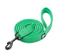 WINHYEPET True Love Dog Leash Nylon Reflective Comfortable Handle Lead Puppy Training Walking Rope Easy Control Suitable Small Medium Large Breeds 110cm Length TLL2111(Grass Green,L)