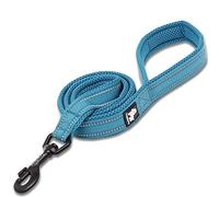 WINHYEPET True Love Dog Leash Nylon Reflective Comfortable Handle Lead Puppy Training Walking Rope Easy Control Suitable Small Medium Large Breeds 110cm Length TLL2111(Blue,S)