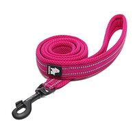 WINHYEPET True Love Dog Leash Nylon Reflective Comfortable Handle Lead Puppy Training Walking Rope Easy Control Suitable Small Medium Large Breeds 110cm Length TLL2111(Fushcia,M)