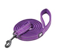 WINHYEPET True Love Dog Leash Nylon Reflective Comfortable Handle Lead Puppy Training Walking Rope Easy Control Suitable Small Medium Large Breeds 110cm Length TLL2111(Purple,L)