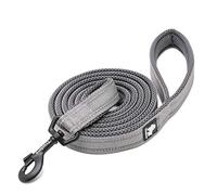WINHYEPET True Love Dog Leash Nylon Reflective Comfortable Handle Lead Puppy Training Walking Rope Easy Control Suitable Small Medium Large Breeds 110cm Length TLL2111(Gray,L)