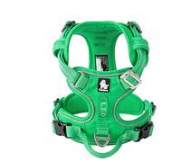 WINHYEPET True Love No Pull Dog Harness Extra Reflective Pet Harness for Small Medium Large Dogs Adjustbale for Running Walking Padded Soft Mesh Vest Easy Control TLH56512(Grass Green,S)