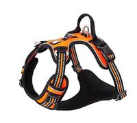 WINHYEPET True Love No Pull Dog Harness Extra Reflective Pet Harness for Small Medium Large Dogs Adjustbale for Running Walking Padded Soft Mesh Vest Easy Control TLH56512(Orange,L)