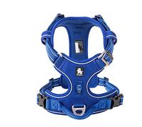 WINHYEPET True Love No Pull Dog Harness Extra Reflective Pet Harness for Small Medium Large Dogs Adjustbale for Running Walking Padded Soft Mesh Vest Easy Control TLH56512(Royal Blue,XL)