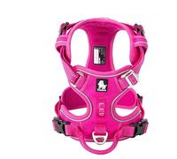 WINHYEPET True Love No Pull Dog Harness Extra Reflective Pet Harness for Small Medium Large Dogs Adjustbale for Running Walking Padded Soft Mesh Vest Easy Control TLH56512(Fushcia,L)