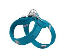 WINHYEPET Truelove Dog Harness Soft Mesh Reflective Breathable Step-In Dog Harness,Easy Adjustment Harness with Safety Buckle for Extra Small and Small Dogs, Vest Harness TLH3013(Blue,2XS)