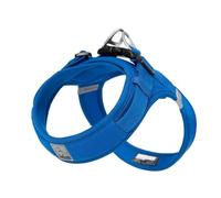 WINHYEPET Truelove Dog Harness Soft Mesh Reflective Breathable Step-In Dog Harness,Easy Adjustment Harness with Safety Buckle for Extra Small and Small Dogs, Vest Harness TLH3013(Royal Blue,XS)