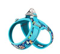 WINHYEPET Truelove Dog Harness Soft Mesh Reflective Breathable Step-In Dog Harness,Easy Adjustment Harness with Safety Buckle for Extra Small and Small Dogs, Vest Harness TLH3013(Blue Atoll,M)