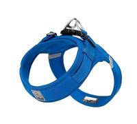 WINHYEPET Truelove Dog Harness Soft Mesh Reflective Breathable Step-In Dog Harness,Easy Adjustment Harness with Safety Buckle for Extra Small and Small Dogs, Vest Harness TLH3013(Royal Blue,2XS)