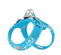 WINHYEPET Truelove Dog Harness Soft Mesh Reflective Breathable Step-In Dog Harness,Easy Adjustment Harness with Safety Buckle for Extra Small and Small Dogs, Vest Harness TLH3013(Malibu Blue,S)