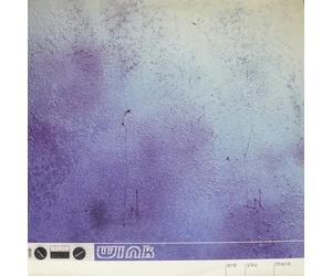 Wink Josh - Are You There [12" VINYL]