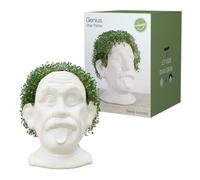 Winkee - Chia Genie I Head as Chia Plant Animal I Ceramic Bust for Chia Seeds Growing I Propagation Tray in Funny Head Shape I Chia Seeds Starter Kit