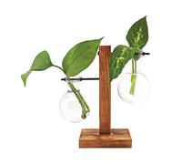 Winkee - Hydro Vases Flower Vase NEW