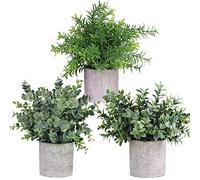 Winlyn Mini Potted Plants Artificial Eucalyptus Boxwood Rosemary Greenery in Pots Faux Potted Herbs Small Houseplants 8.3"-9" Tall for Indoor Greenery Tabletop Décor Centerpiece 3 Pack