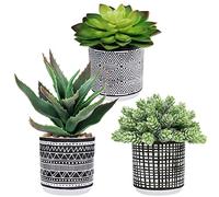 Winlyn Set of 3 Assorted Small Potted Succulents Arrangement Artificial Succulent Plants in Black and White Geometric Pots for Table Centerpiece Windowsill Shelf Indoor Outdoor Garden Greenery Decor