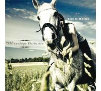 Winnebago Orchestra – Born In The Sun