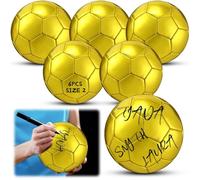 WinnerWhy 6 Pcs Gold Autograph Soccer Ball Official Size Mini Trophy Soccer Golden Custom Football with Air Pump for Trophies Anniversary College Coaching Gift Awards Party (Size 2)