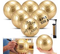 WinnerWhy 6 Pcs Rose Gold Autograph Volleyball Official Mini Trophy Volleyball Custom with Air Pump for Trophies Anniversary College Coaching Senior Nights Gift Awards Party (Size 2)