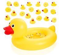 WinnerWhy Duck Matching Game Includes Inflatable Pool Pond and 20 Numbered Floating Rubber Ducks for Festival Carnival Water Outdoor Game, Pump Not Included