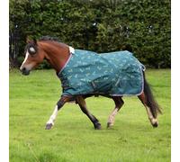 Winnie & Me 100g Standard Turnout Rug - Outdoor Horse Blanket - Green - Size: 4ft 9inch