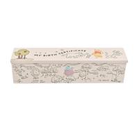 Winnie The Pooh And Friends Birth Certificate Tube Disney Multi One Size